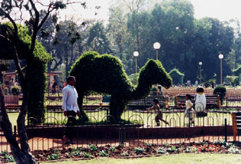 Висячие сады на Малабар Хилл